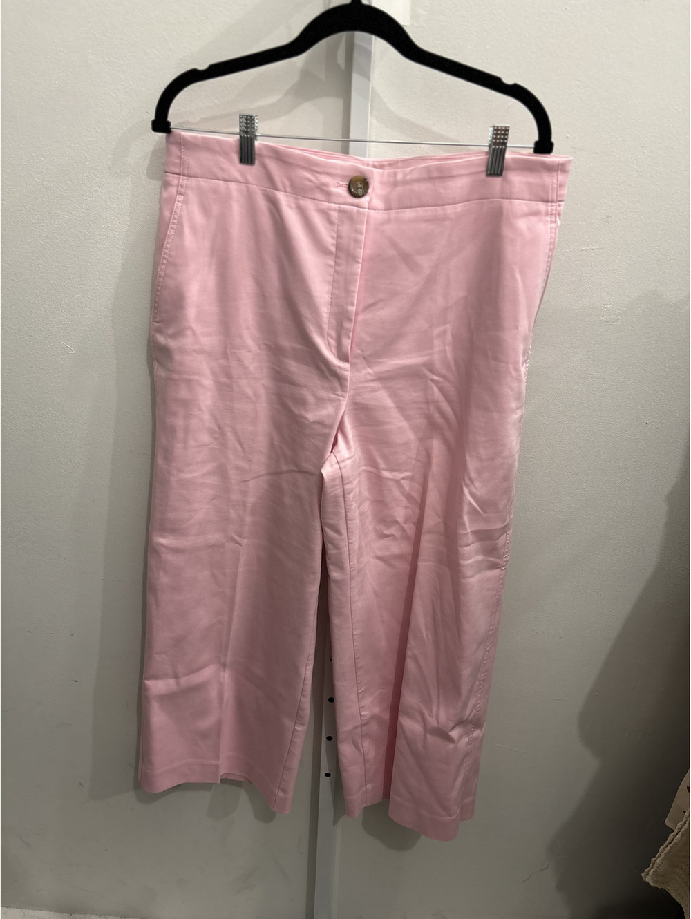 Ann Taylor Pink Dress Pants